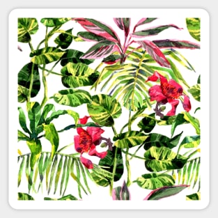 Tropical Background. watercolor tropical leaves and plants. Hand painted jungle greenery background Sticker